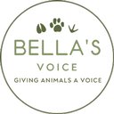 Bella's Voice company logo