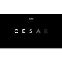 CESAR company logo