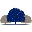 Beeghly Oaks Center for Rehab and Healing company logo