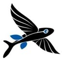 Pyka company logo