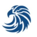 Eagle Ambulance company logo