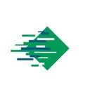Domino Printing Sciences company logo