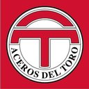 ACEROS DEL TORO company logo