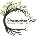 Pincushion Hill Montessori School company logo