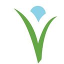 Meadowview Behavioral Hospital company logo