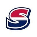 Skyworks LLC company logo