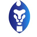 Running with Lions Logistics company logo