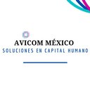 Avicom México company logo