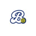 Bangers Pickleball company logo