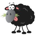 Black Sheep Support Ltd company logo