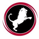NEMEAN SOLUTIONS LLC company logo