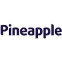 Pineapple Contracts company logo