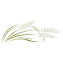 Westminster Village Terre Haute company logo