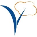 Vaanam Technologies company logo