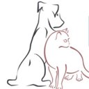 Canisteo Veterinary Hospital company logo