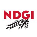 NDGI company logo