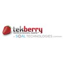 TEKBERRY company logo