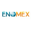 Enovaciones Mexicanas de Alambre SA DE CV company logo