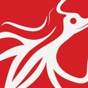 Redsquid Communications company logo