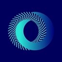 Critical Techworks company logo