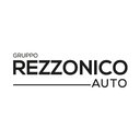 Rezzonico Auto company logo