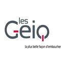 GEIQ company logo