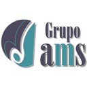 GRUPO AMS company logo