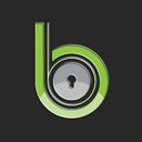 Blackpoint Cyber company logo