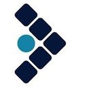 The Consultus International Group company logo