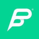 Peter Park System GmbH company logo