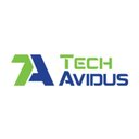 TechAvidus Private Limited company logo