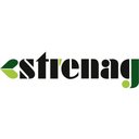 Strenag company logo