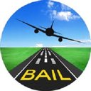 Bangalore Aircraft Industries Pvt Ltd company logo