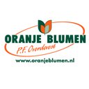 ORANJE BLUMEN P.F. Overdevest GmbH company logo