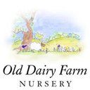Old Dairy Farm Nursery company logo