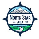 North Star ABA company logo