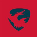 Skyeton Inc company logo