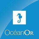 Oceanor company logo