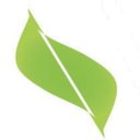 Verde Landscape Companies, Inc. company logo