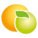 Fruchtimport vanWylick GmbH company logo