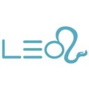 Leo IT Hub company logo