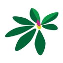 Mountain Community Health Partnership company logo