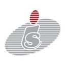 Intellinet Systems company logo
