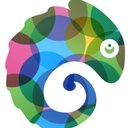 Chameleon Digital Media company logo