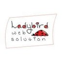 Ladybird web Solution Pvt Ltd company logo