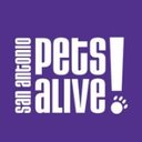 San Antonio Pets Alive! company logo