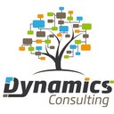 Dynamics Consulting GmbH company logo