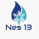 NES 13 company logo