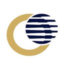 Lake Superior Consulting company logo