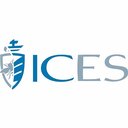 ICES company logo